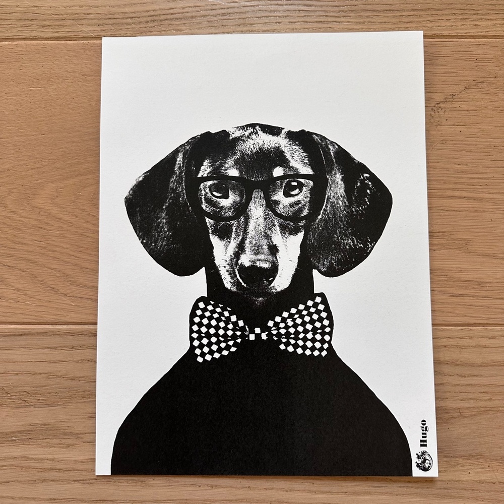Scandinavian Artist Lisa Bengtsson Hugo Dachshund Art Print Minimalist Modern